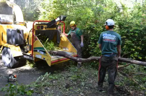 tree services Donnellson